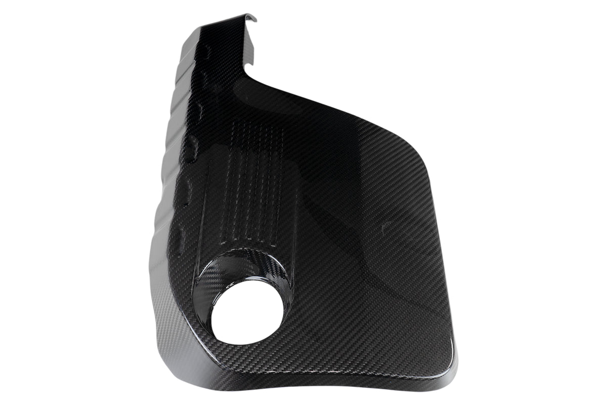Carbon Motorabdeckung BMW S55B30A (z.B. M2/ M3/ M4)