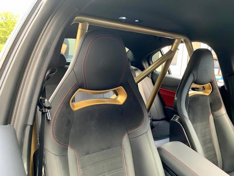 Alfa Romeo easofix-Bügel Standard Carbon